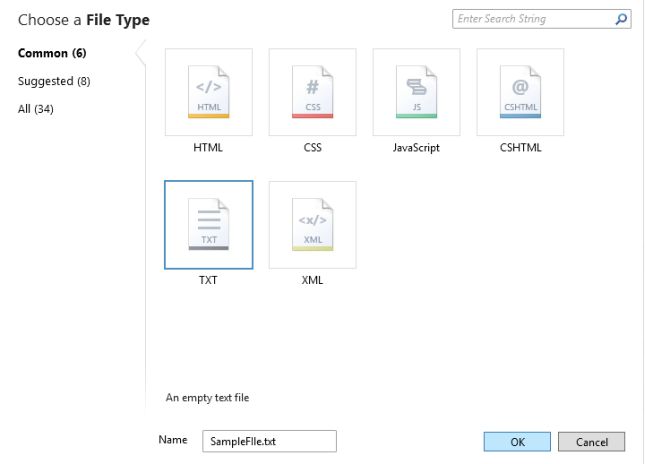 Adding Text File in WebMatrix
